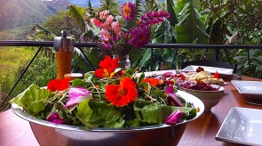 salad_vista.jpg